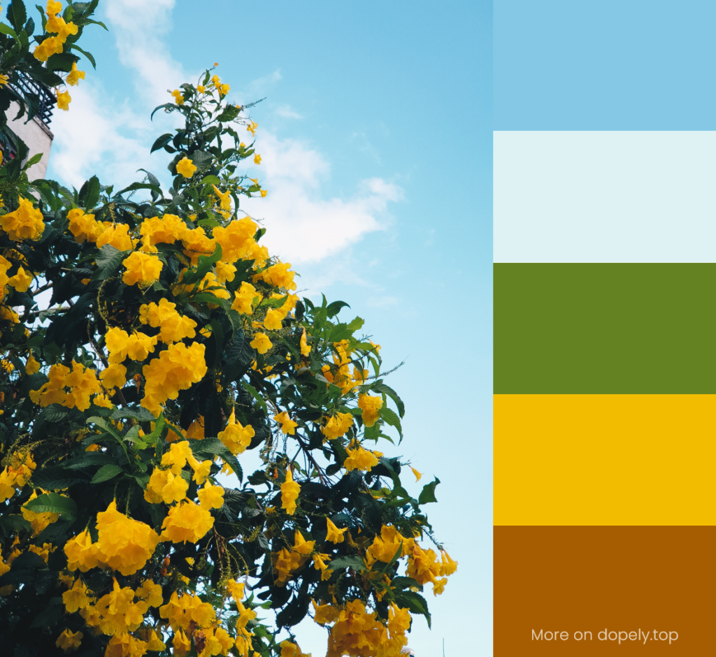 yellow flowers and blue sky and color palette by dopely.top