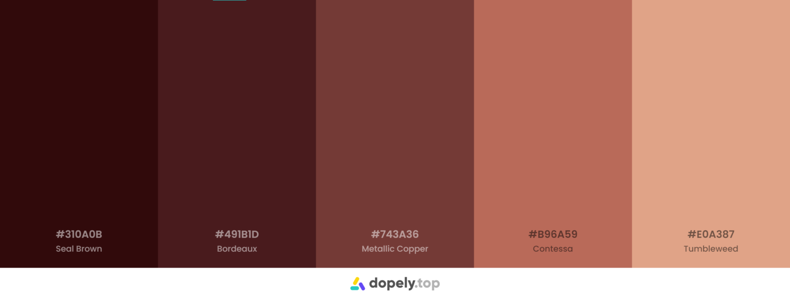 10-brown-color-palette-inspirations-with-names-hex-codes-inside-colors