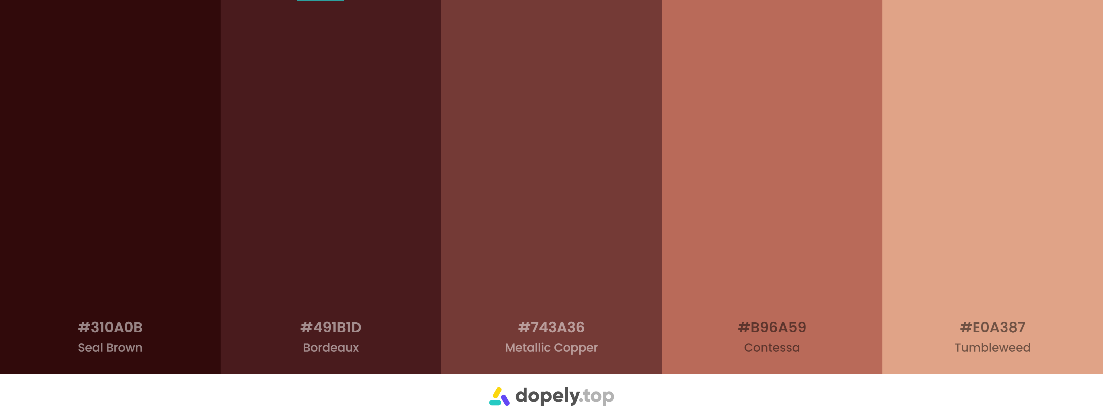 beautiful analogous brown color palette 