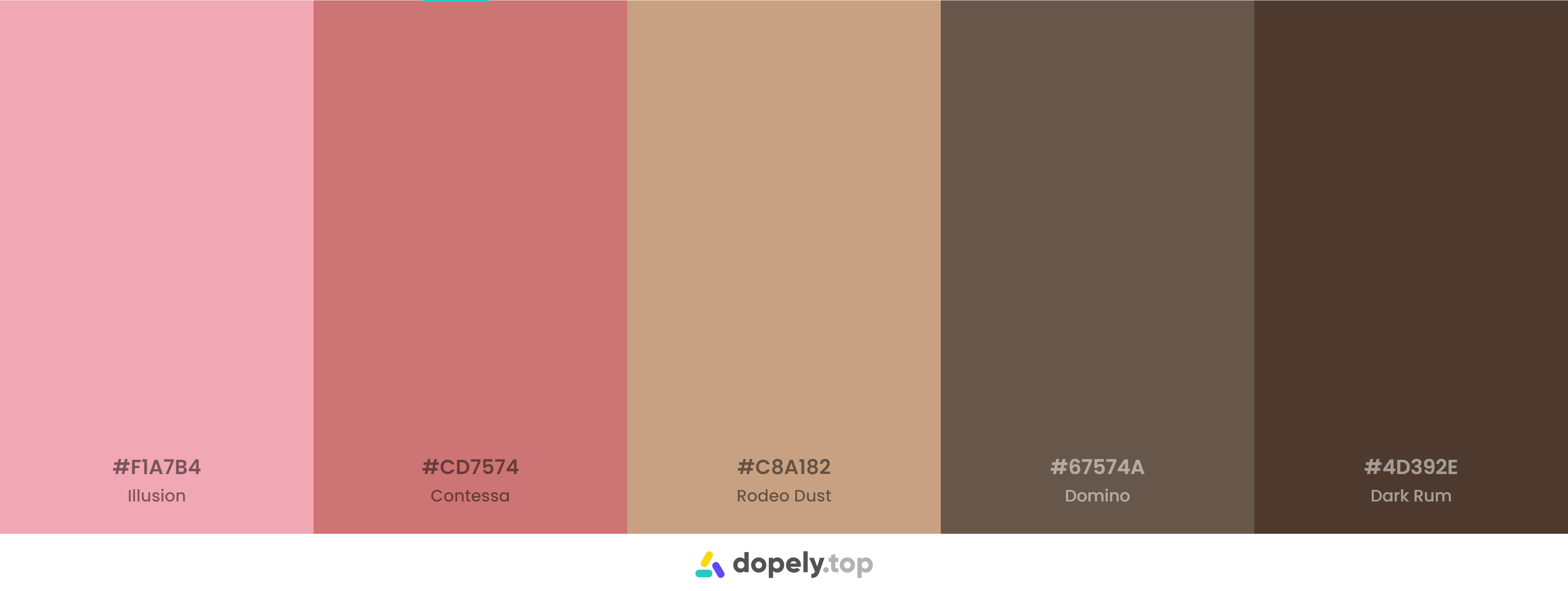 pink and Brown Color Palette Inspirations with Names & hex Codes