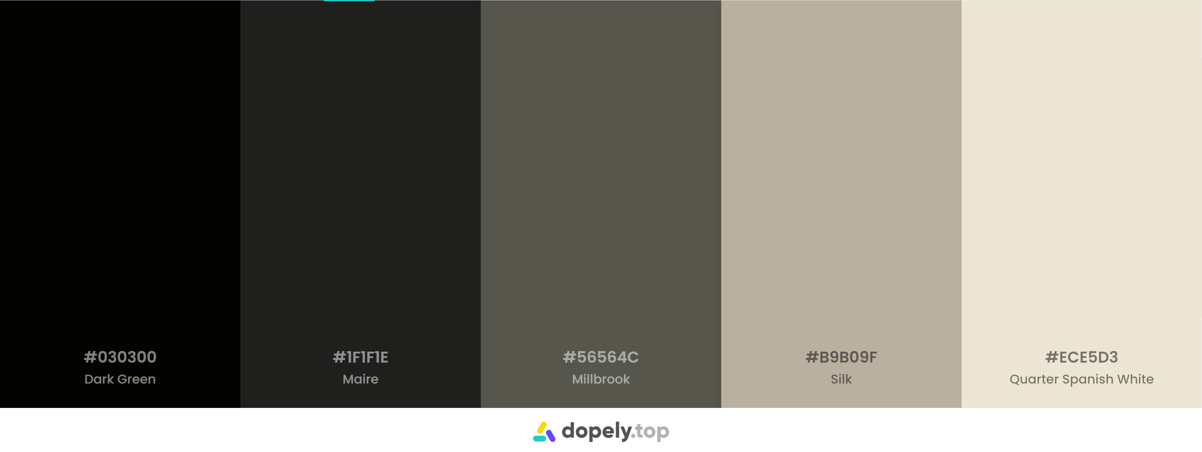 Black Color Palette Inspirations with Names & hex Codes