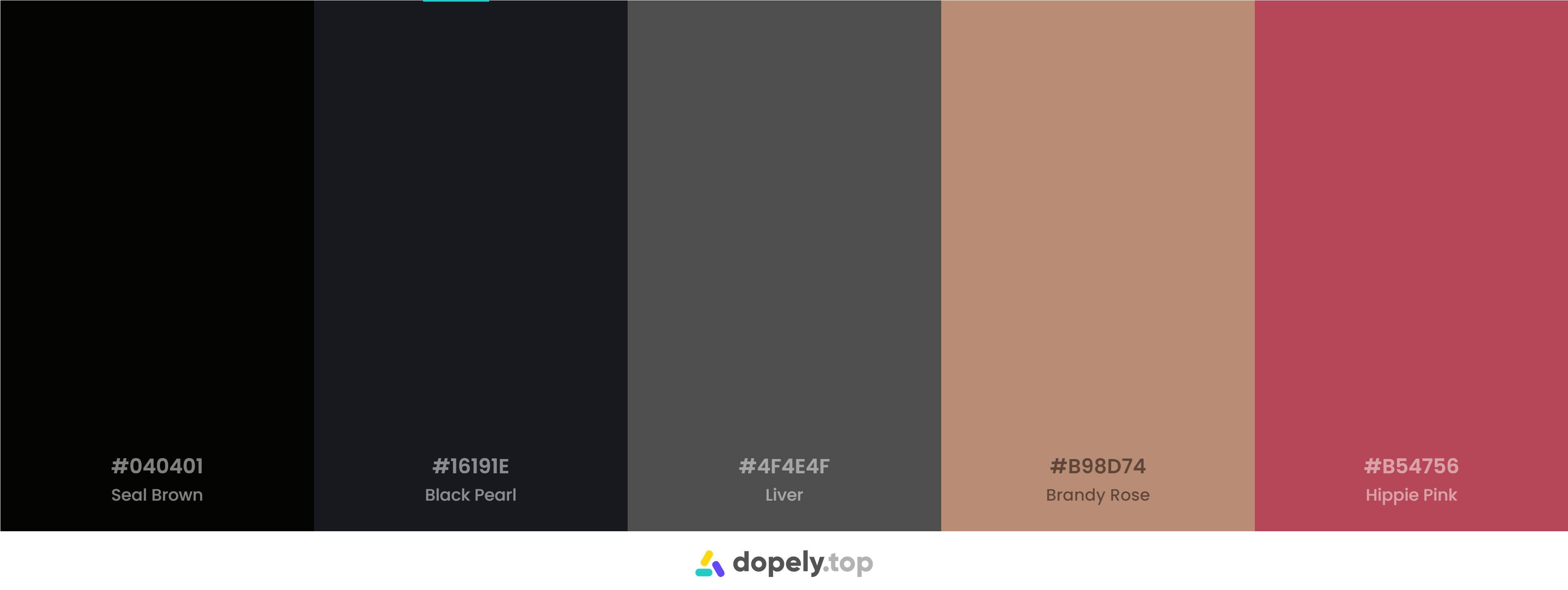 Black Color Palette Inspirations with Names & hex Codes