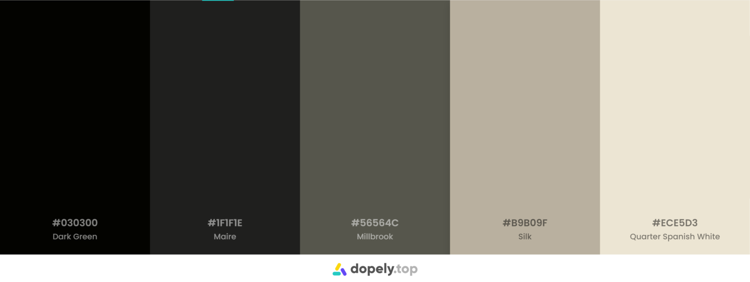 10-black-color-palette-inspirations-with-names-hex-codes-inside-colors