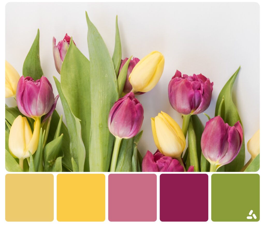 palette inspiration by flowers