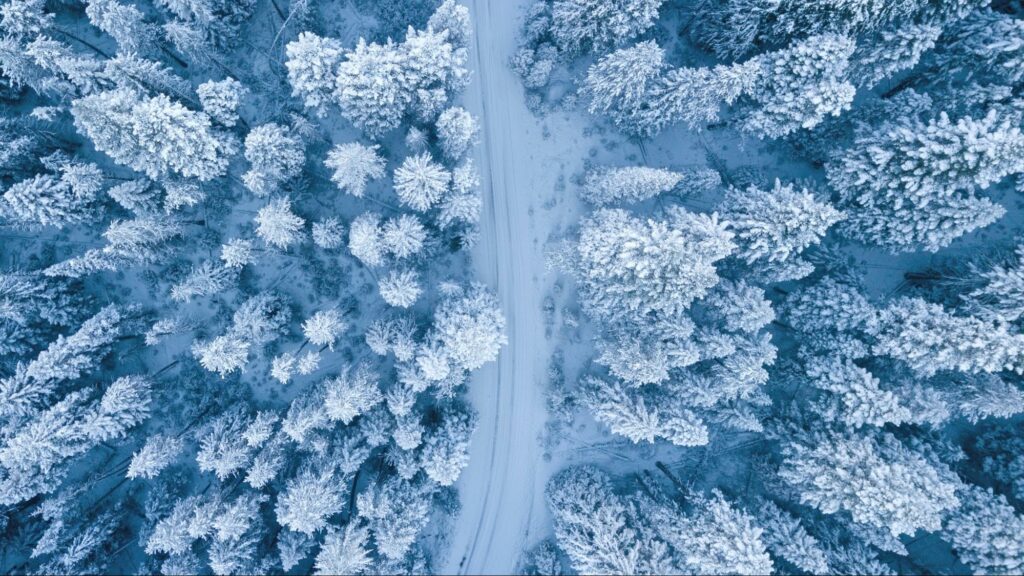 drone photography of a road and the surrounding snow forest