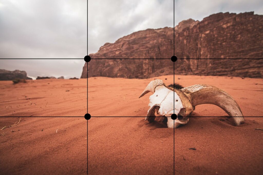 The rule of thirds of a desert