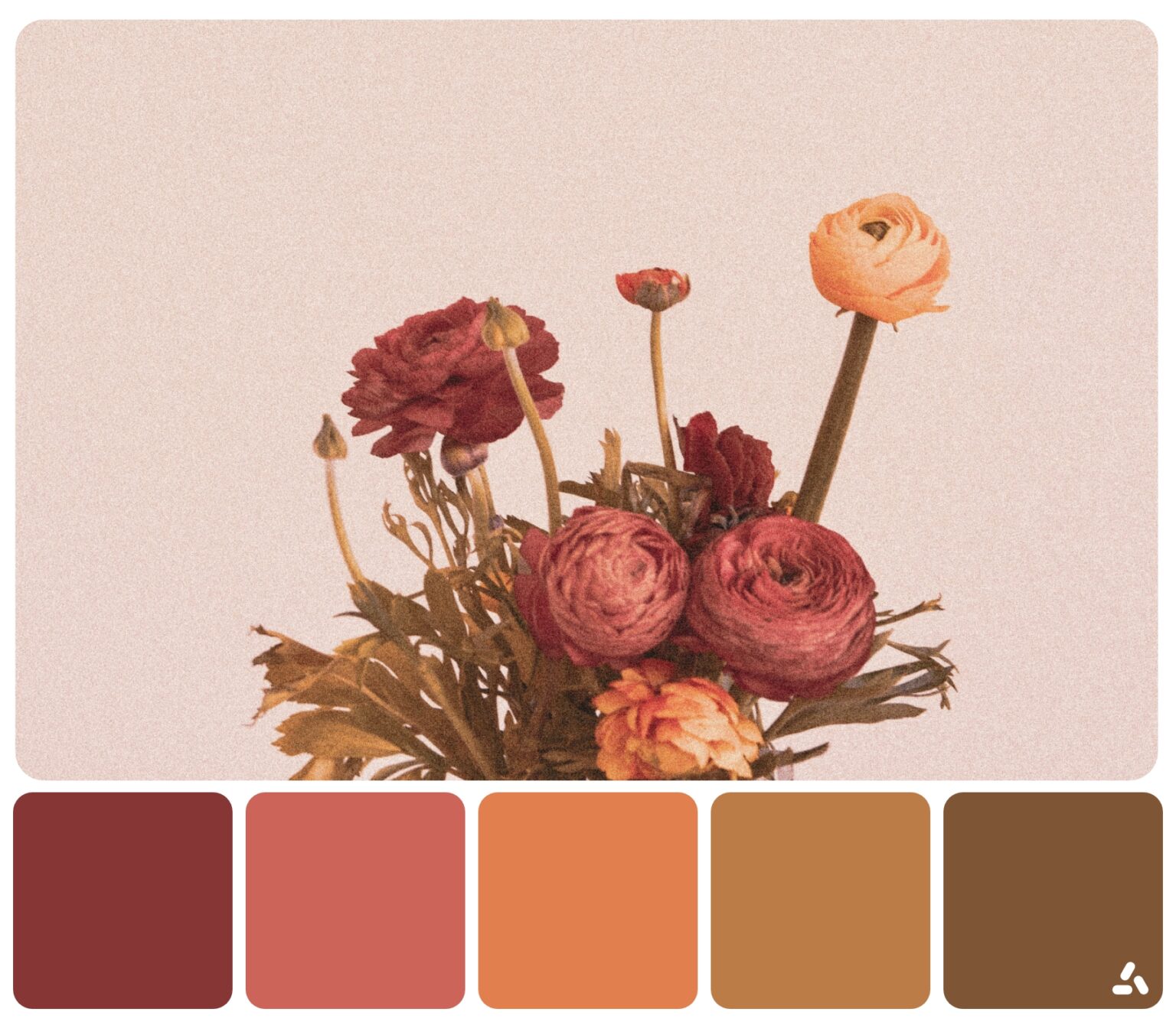 Color Palette Ideas For Spring Season | Inside Colors