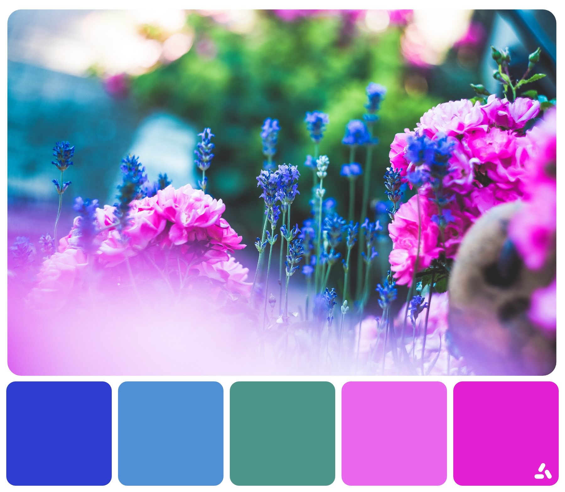 Color Palette Ideas For Spring Season | Inside Colors