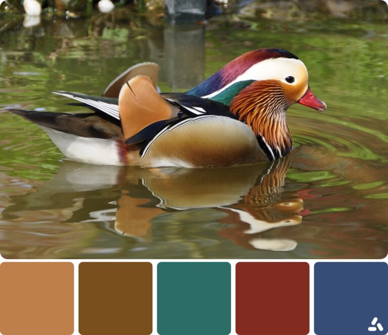 Birds Color Palette Inspiration for a Better Design | Inside Colors