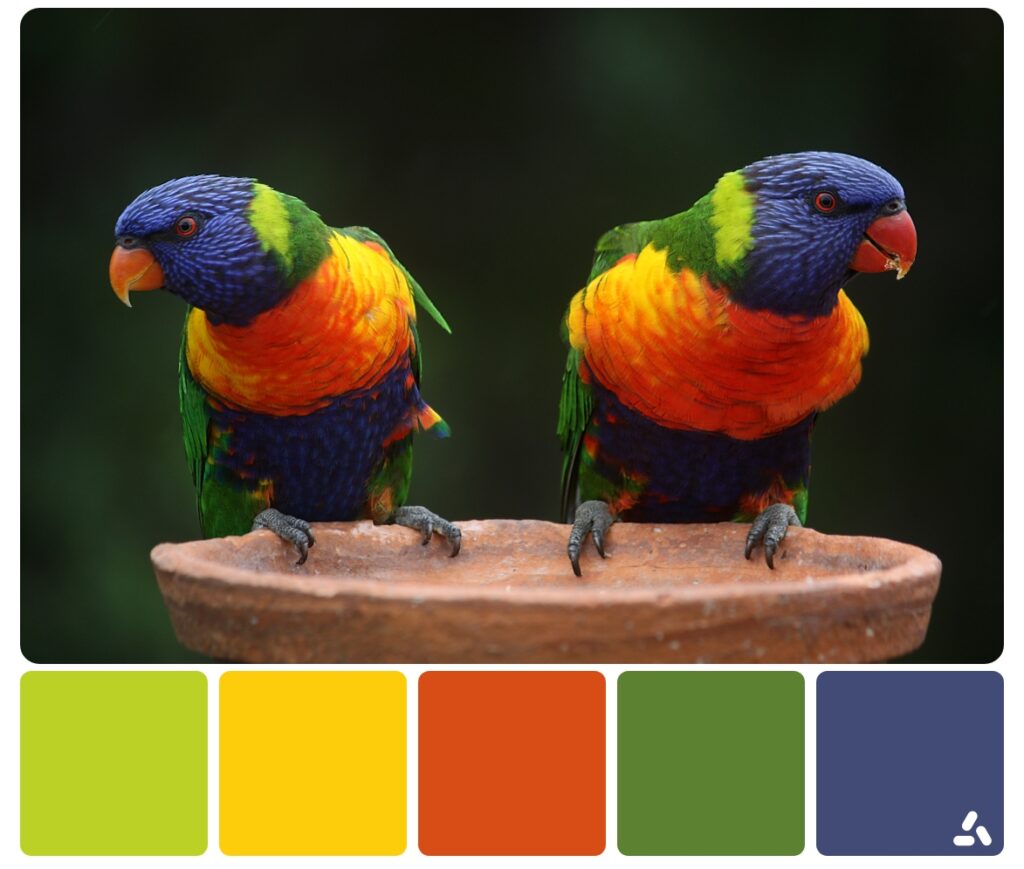 Birds Color Palette Inspiration for a Better Design   Inside Colors