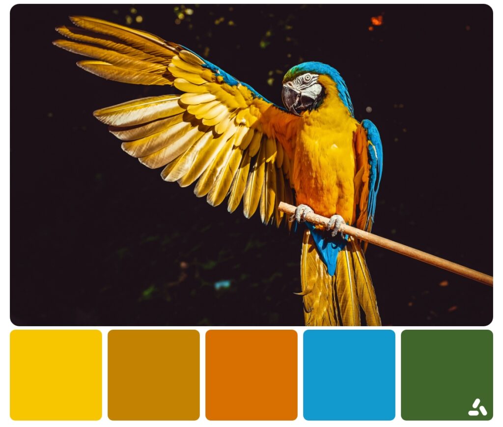 color palettes ispired by nature