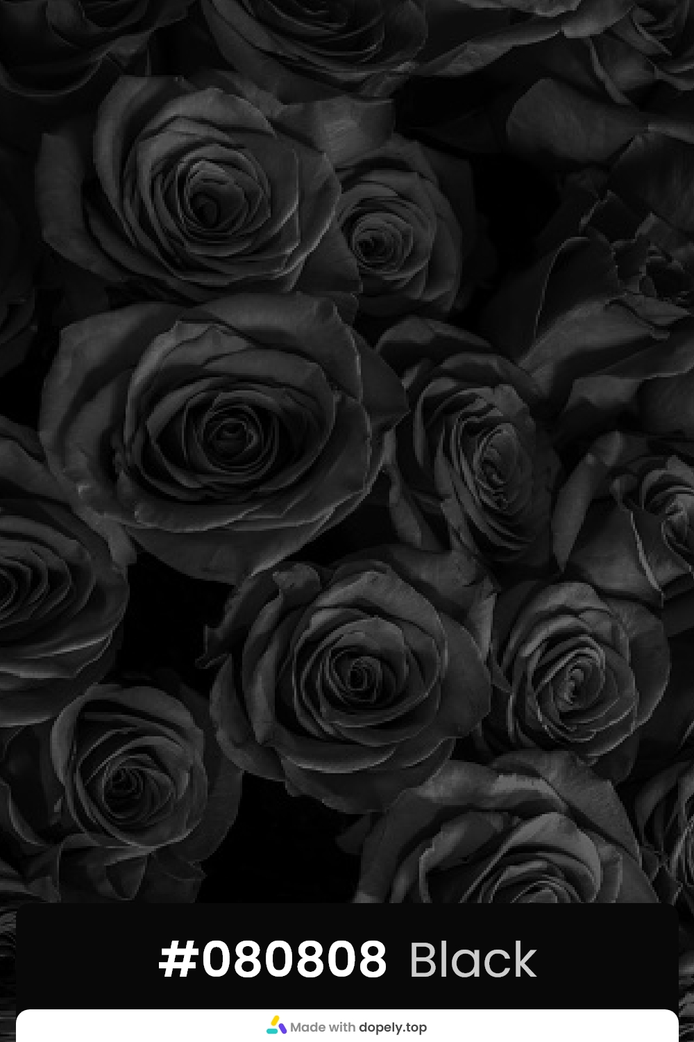 black color rose flower meaning with hex code