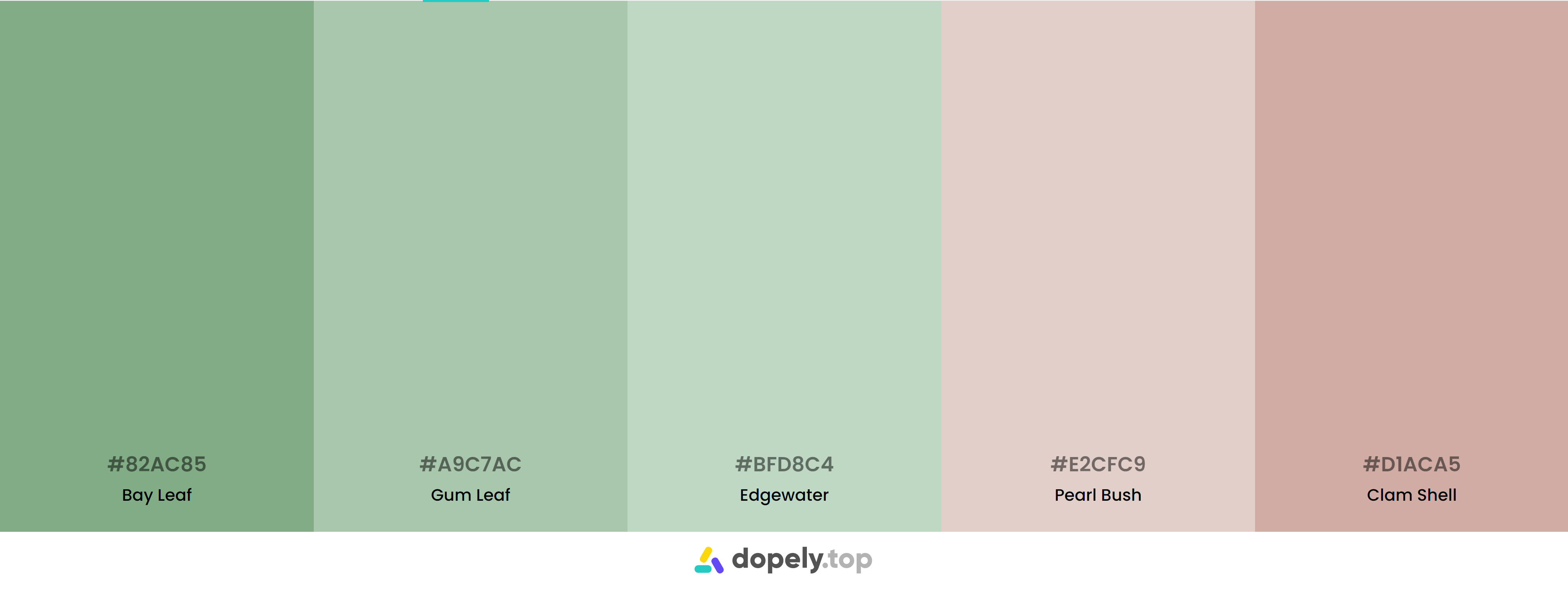 Green Color Palette Inspirations with Names & hex Codes