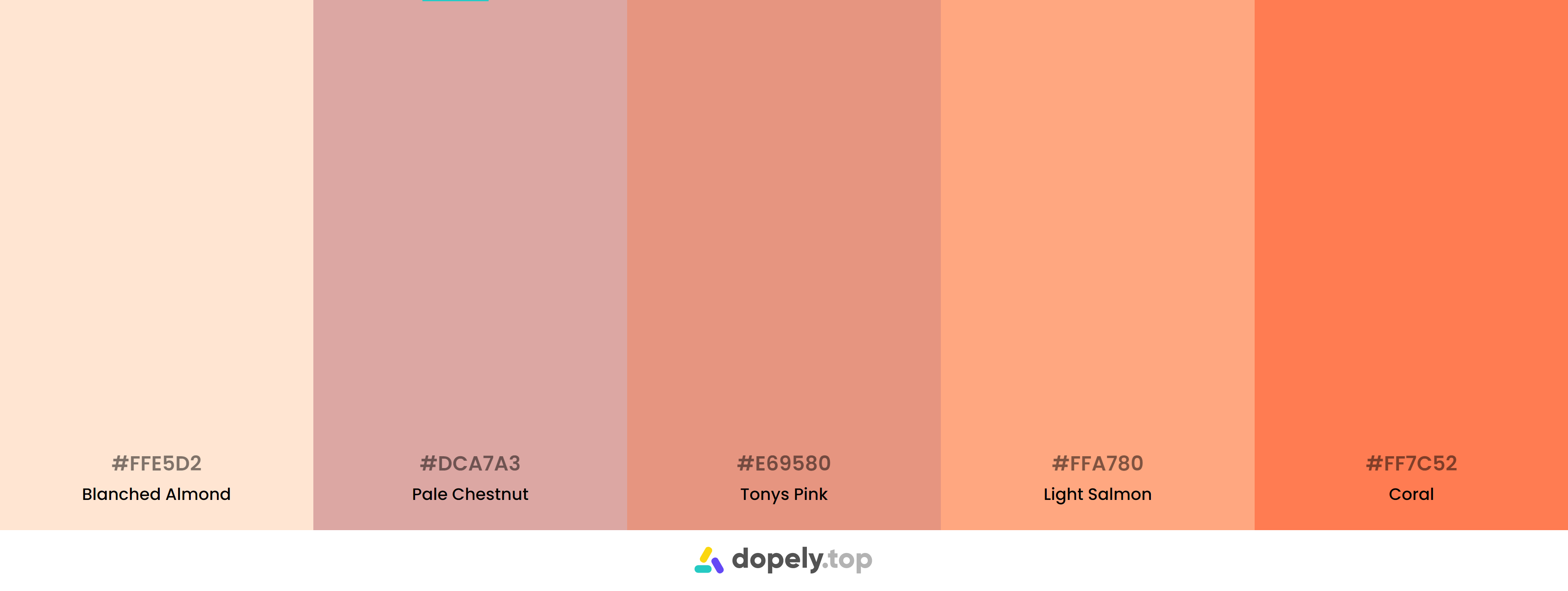 15 Orange Palette Inspirations with Names & hex Codes! – Inside