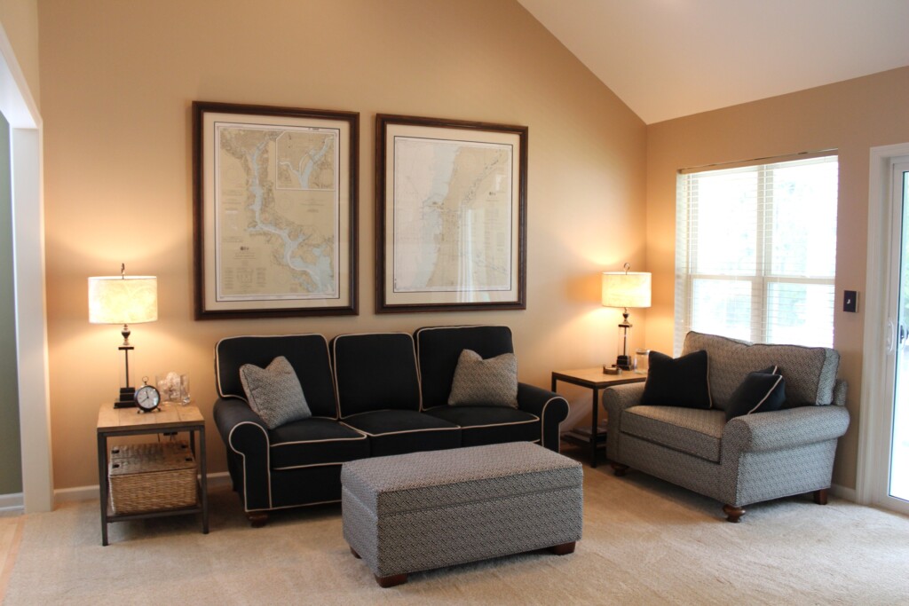 an image of a living room with accent-colored furniture