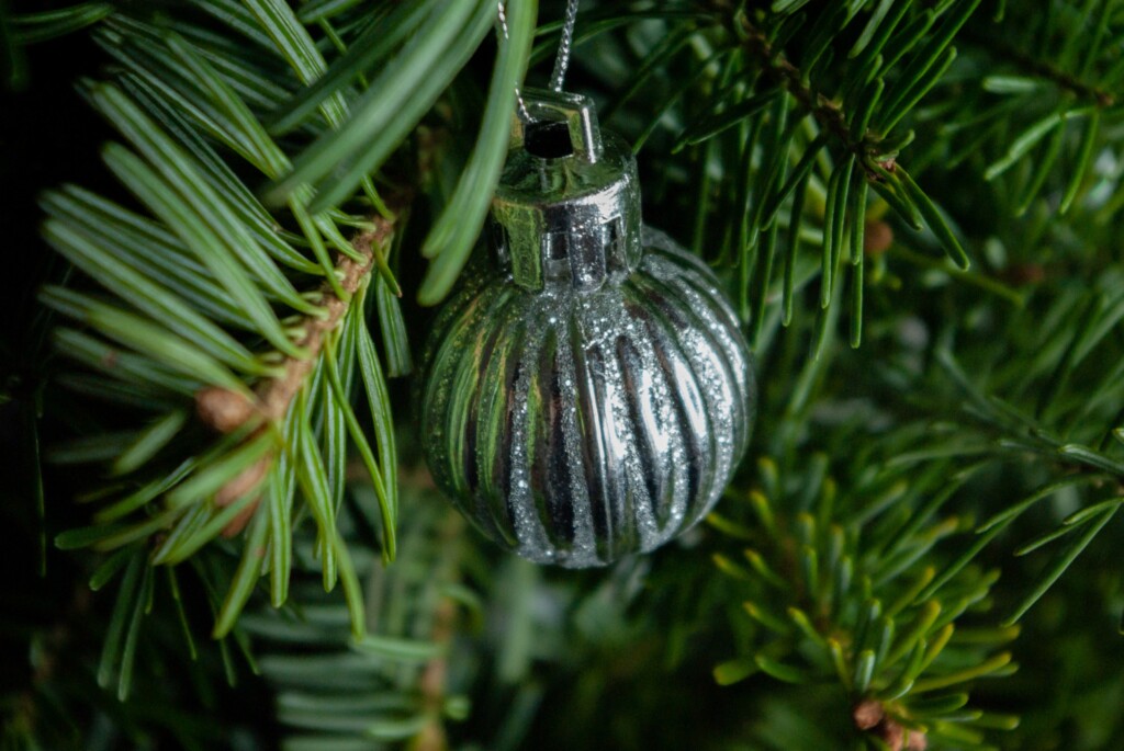 Picture of a silver pendant on a Christmas tree
