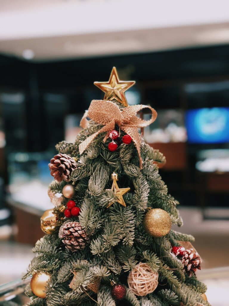 Picture of a small Christmas tree with beautiful decorations, star on top of the tree, pine fruits, star toppers, golden ball and holly fruit.
