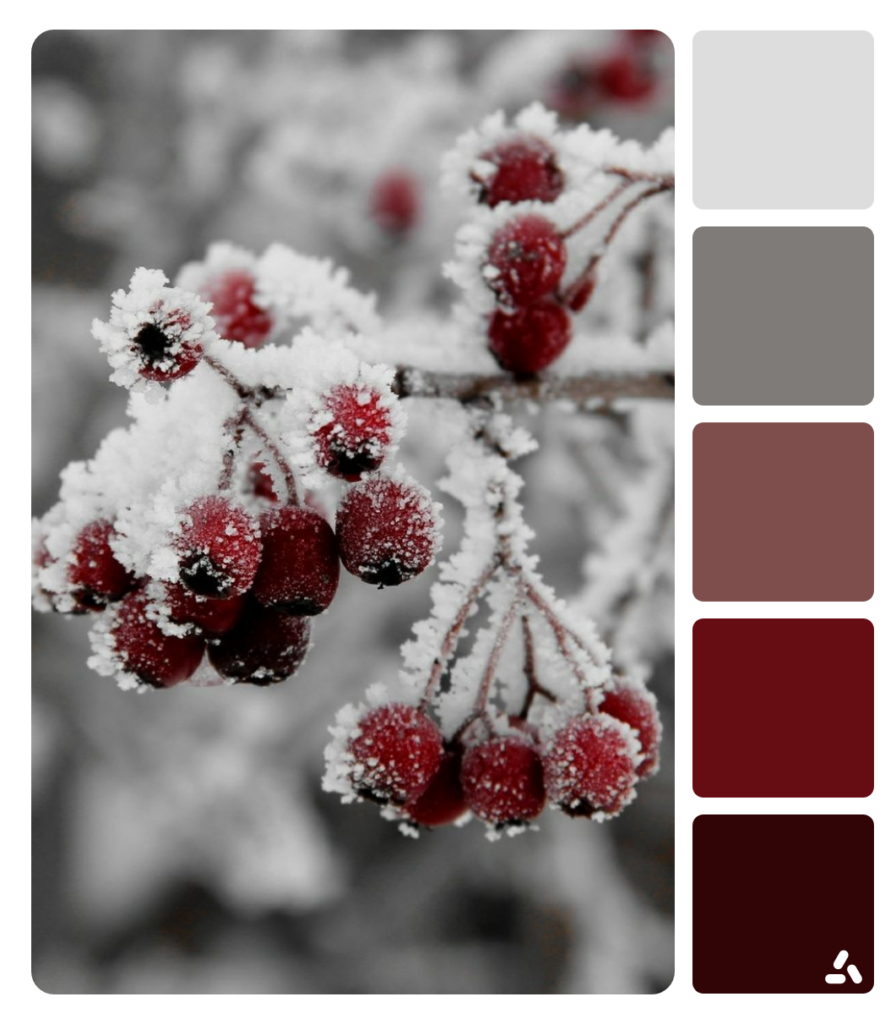 Dopely winter color palette inspiration