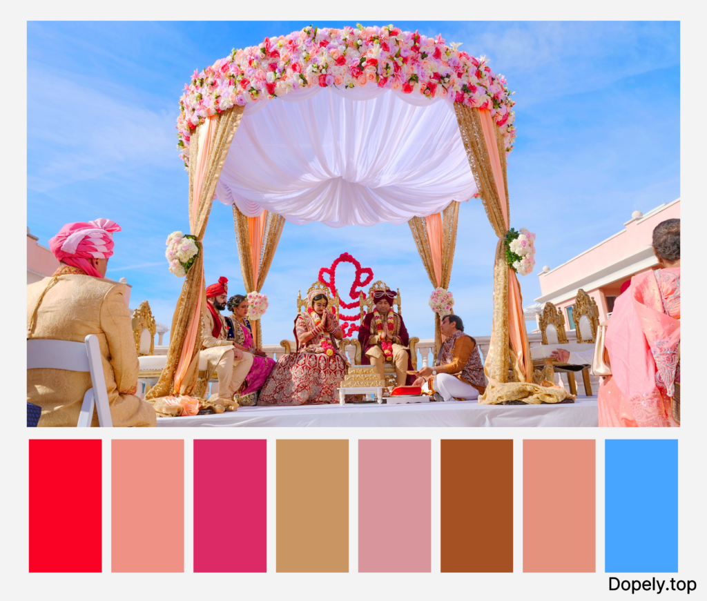 color palette inspiration of Indian colors by Dopely color palette generator6