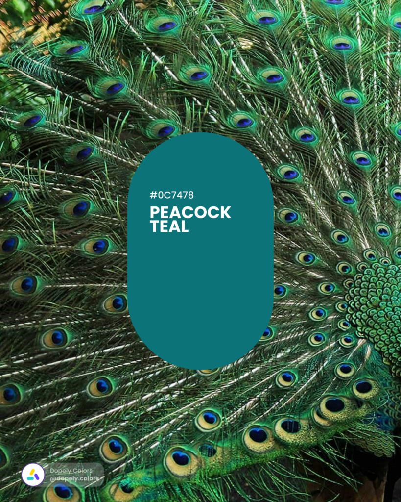 Picture of Peacock Teal color code
