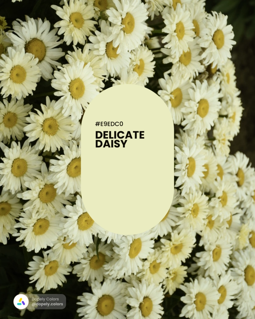 Picture of flowers with Delicate Daisy color