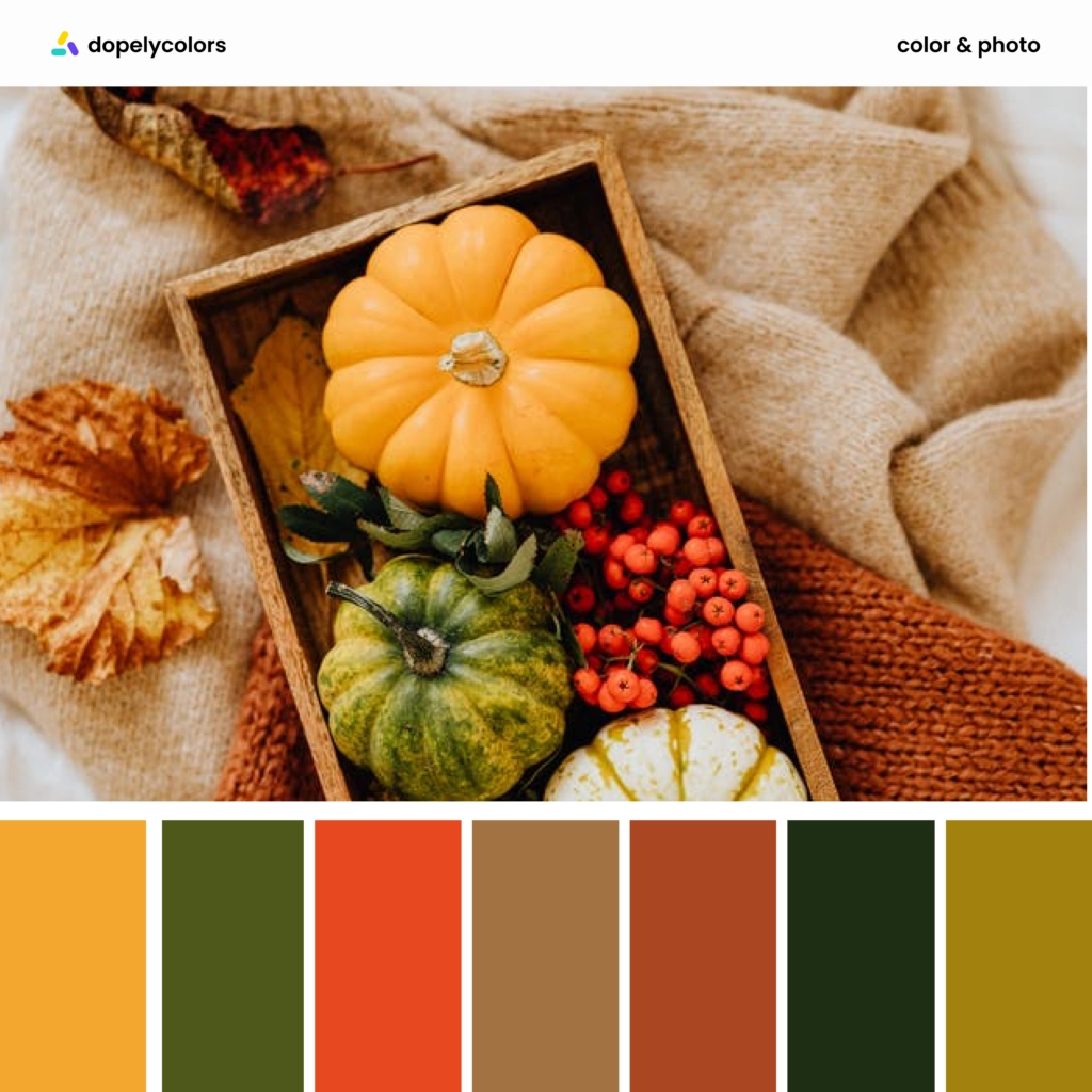 A color palette inspiration of Autumn colors 1