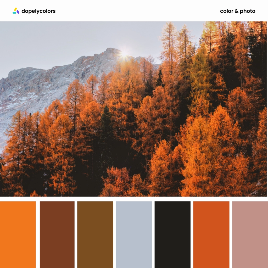 Color palette inspiration of autumn colors 1