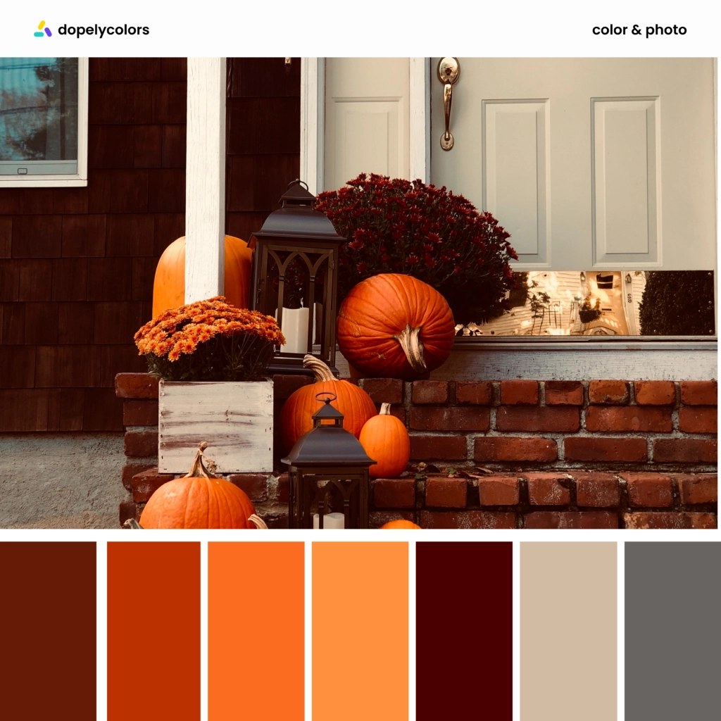 Color palette inspiration of autumn colors 2
