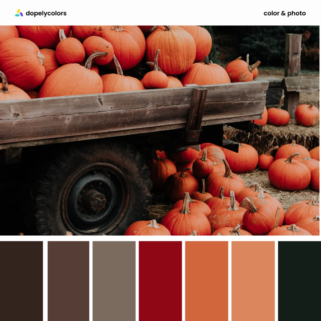 Color palette inspiration of autumn colors 5