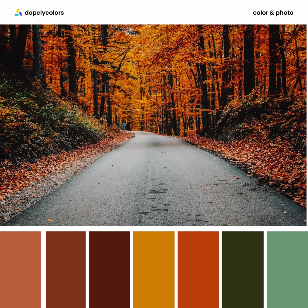 Color palette inspiration of autumn colors 7