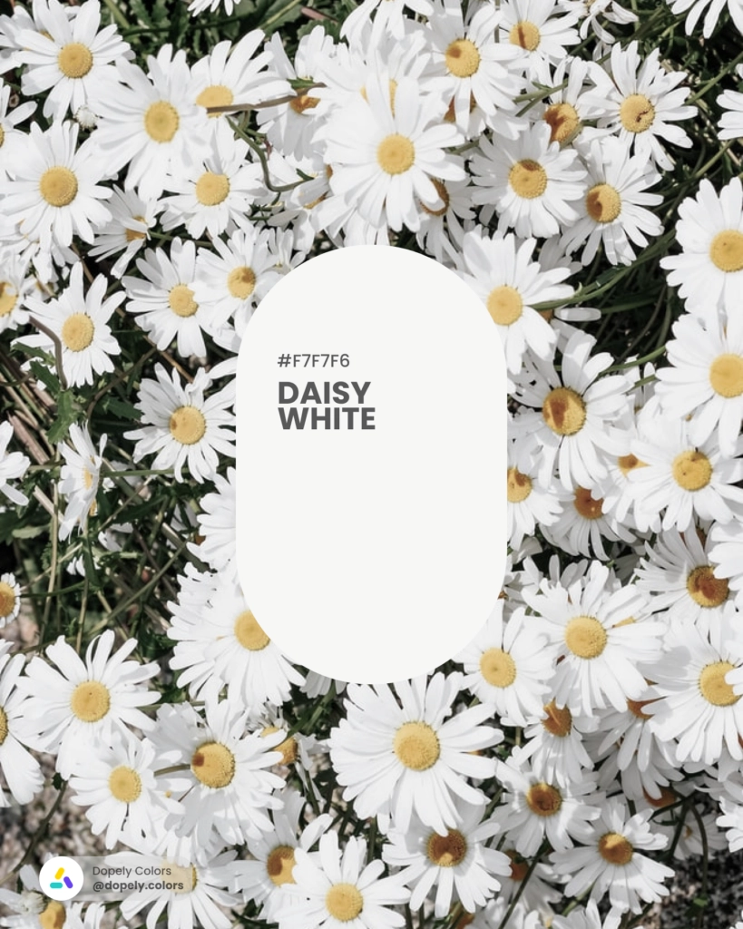 Picture of flowers with White Daisy color