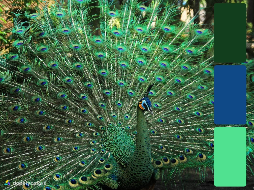Picture of Green Peacock with color palette