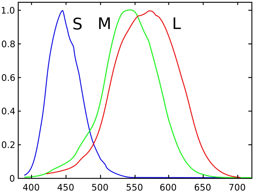 Picture of LMS color space
