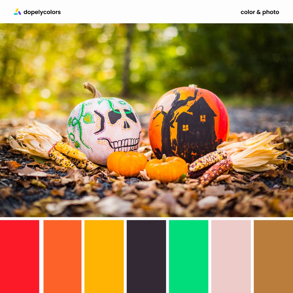 Color palette inspiration of Halloween colors 4