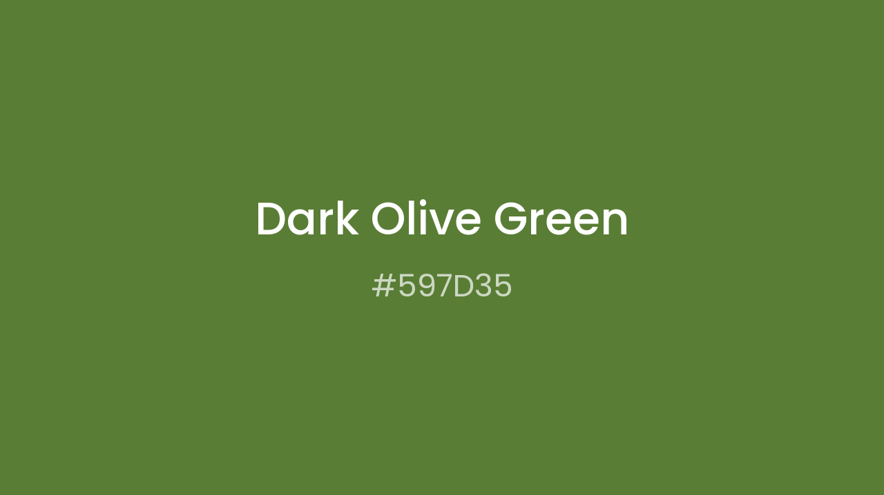 597D35 Dark Olive Green