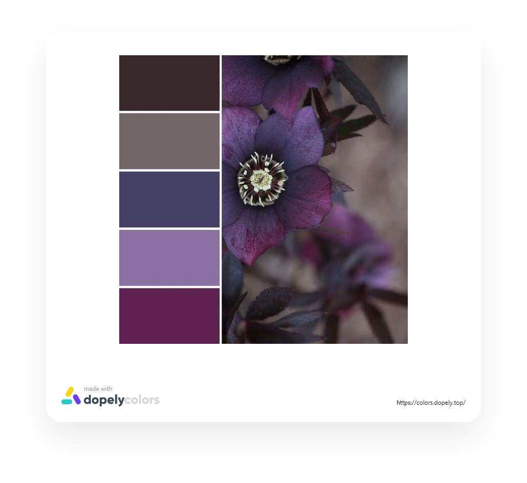 Color palette inspiration from flower in nature